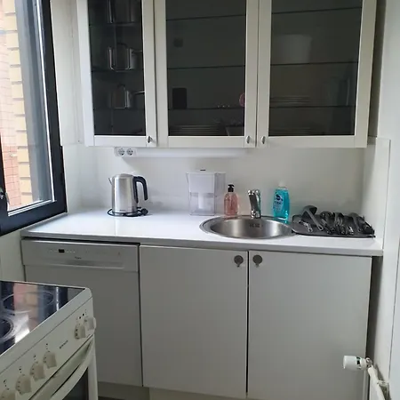 Lejlighed Asunto Mukavuuksilla Keskustassa *